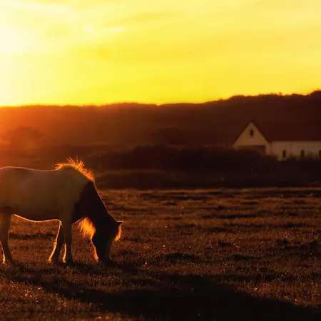 Boje 8 Апартаменты Шпикерог