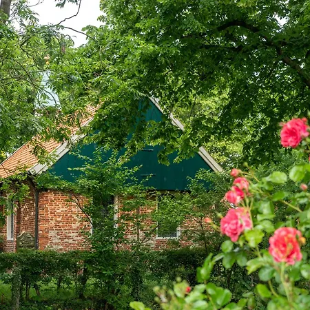 Boje 8 Шпикерог