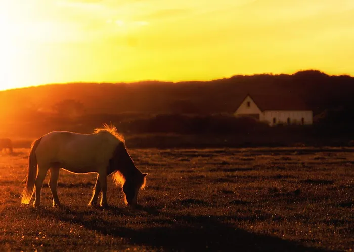 Boje 8 Апартаменты Шпикерог